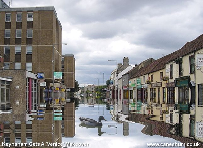 'Nice weather for ducks - nice street for 'em too'